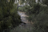 Chilean volunteers combat plastic waste in the Mapocho river, in Santiago