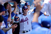 MLB: Washington Nationals at New York Mets
