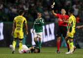 Brasileiro Championship - Palmeiras v Mirassol