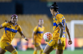 Liga MX Femenil: Tigres - Necaxa