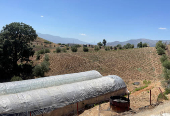 A view shows a cannabis field near the northern town of Bab Berred