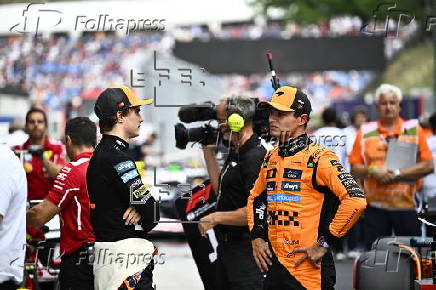 Formula One Hungarian Grand Prix - Practice and Qualifying