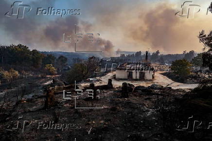 Forest fire breaks out in Fornos de Algodres