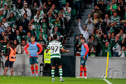 Sporting x Moreirense FC