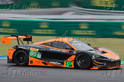 FIA WORLD ENDURANCE CHAMPIONSHIP - TREINO LIVRE 3