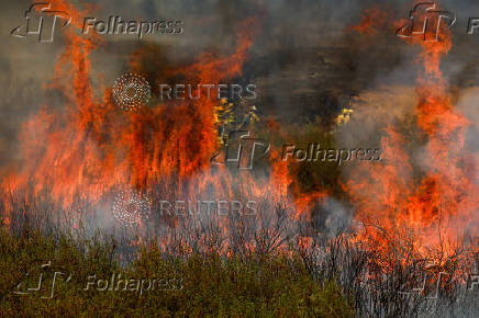 Wildfire on the outskirts of Abejera de Tabara