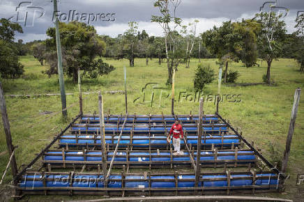Estrutura para casas flutuantes