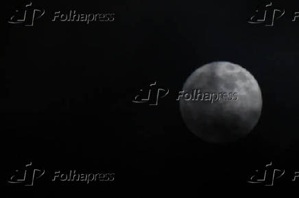Lua do Veado