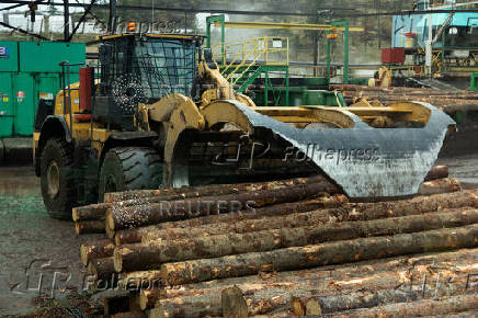 A loader transports logs into the sawmill at Gorman Bros. Lumber Ltd. in West Kelowna
