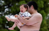 Babies take part in 'Nakizumo' or baby crying sumo contest at Senso-ji temple in Tokyo