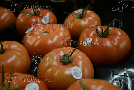 U.S. Government imposes 17% tariff on Mexican fresh tomatoes