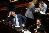Parliamentary committee investigates cryptocurrency scandal involving Argentina's President Milei,  in Buenos Aires