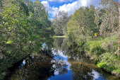 A view of York's Hollow waterhole at the Victoria Park-Barrambin, in Brisbane