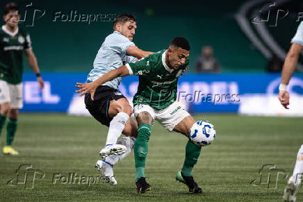 PALMEIRAS-GREMIO: CAMPEONATO BRASILEIRO SERIE A 2025