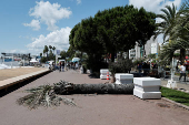 The 78th Cannes Film Festival