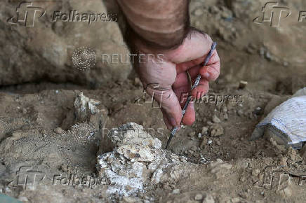 Georgian archaeologists unearth a presumably dated 1.8-million-year-old jawbone, in Kvemo Orozmani