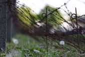 80th anniversary of the liberation of the Dachau concentration camp