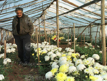 FILE PHOTO: Former guerrilla leader Jose Mujica walks on his flower farm, in Montevideo