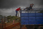 Corridas de toros en el interior de Panamá: cultura, música y valentía