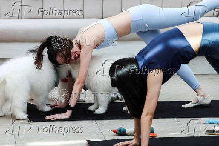 International Yoga Day in Bangkok