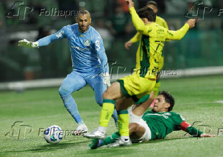 Campeonato Brasileiro Série A - Palmeiras e Mirassol