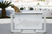 The 78th Cannes Film Festival - Photocall