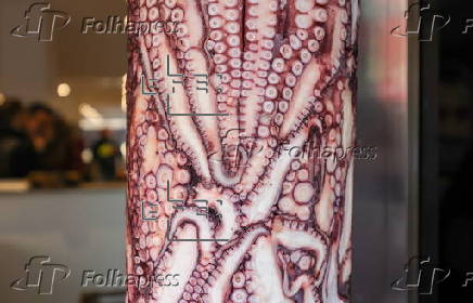 Germany’s first Octopus Doener in Karlsruhe