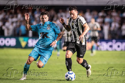 SANTOS-BOTAFOGO: CAMPEONATO BRASILEIRO SERIE A 2025