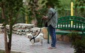 Iran expands dog walking ban in Tehran