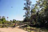 Visitantes caminham na beira de um dos lagos do Bosque Maia, em Guarulhos