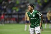 Partida entre PALMEIRAS X CERRO PORTENO (PAR) pela Copa Libertadores da América
