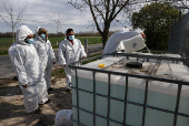 A member of the epidemic authorities fills a container with disinfectant liquid during the outbreak of foot-and-mouth disease in Dunakiliti