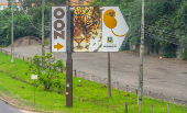 GRIPE AVIARIA / FOCO / ZOOLOGICO SAPUCAIA DO SUL / MORTES