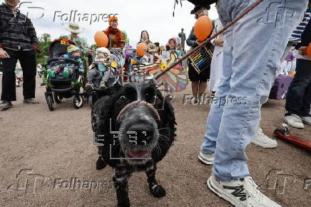 International Children's Day in St. Petersburg