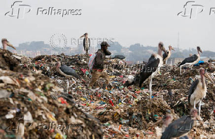 A scavengers walks among Marabou stork as he searches for recyclable plastic materials at the Dandora dumping site on the outskirts of Nairobi