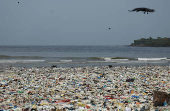 Dogs walk on a beach littered with garbage in Mumbai