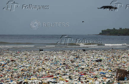 Dogs walk on a beach littered with garbage in Mumbai