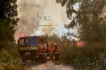 Forest fire in Portugal