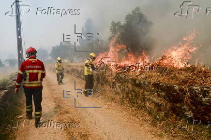 Forest fire in Portugal
