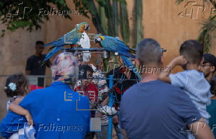 Tourists vist Morocco's Chefchaouen