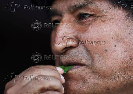 Inside a coca farm and market in Bolivia's countryside ahead of the general election