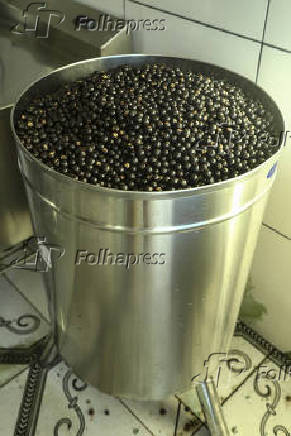 Frutos do açaí sendo lavados em fábrica em Boa Vista (RR)