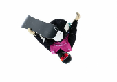 FIS Freestyle World Championships