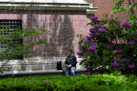 Views of Harvard University