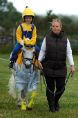 Agricultural show, in Athenry