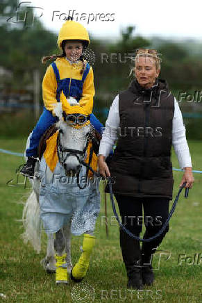 Agricultural show, in Athenry