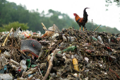 Atlantic Ocean protected from garbage by Ocean Cleanup barriers in Guatemala