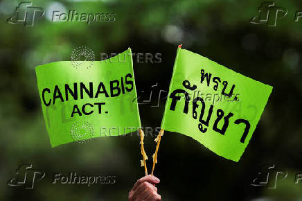 Activists of Writing Thailand's Cannabis Future attend a protest to call for a responsible and well-regulated approach to cannabis and the urgent passage of an act, in Nonthaburi province