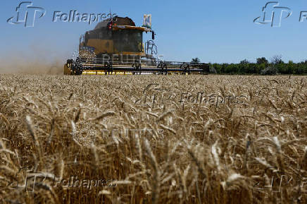 Farmers harvest wheat in Luhansk Region