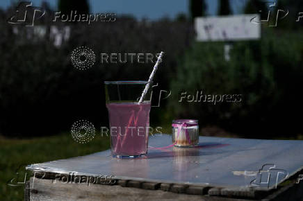 A view shows a glass of lemonade with lavender, in Nowy Pozog